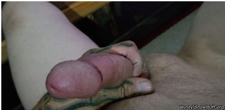 Photo of a sausage from Windy