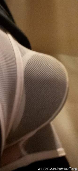 Photo of a python from Woody123