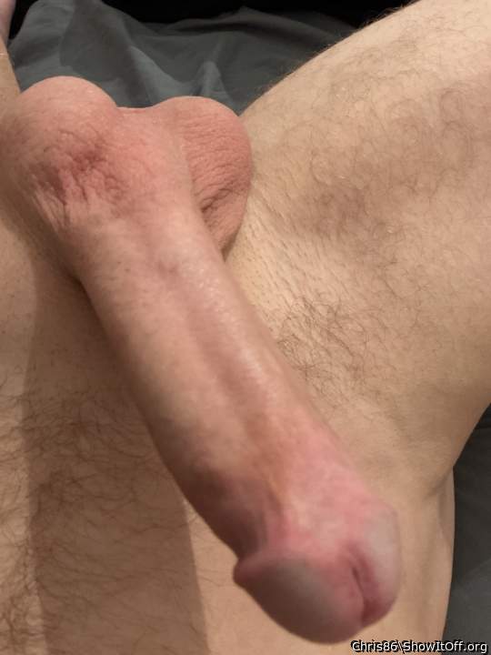 such a beautiful, magnificent specimen