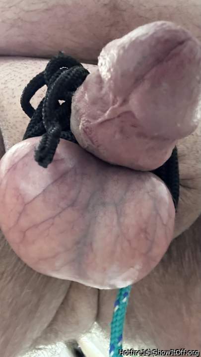 Testicles Photo from Hotfire1$