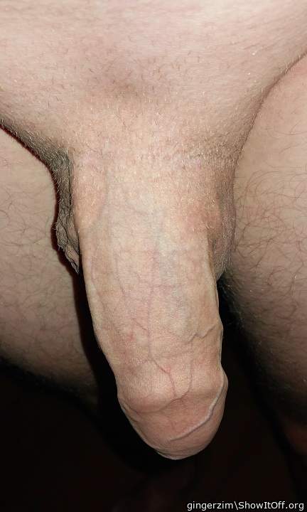 Photo of a middle leg from gingerzim