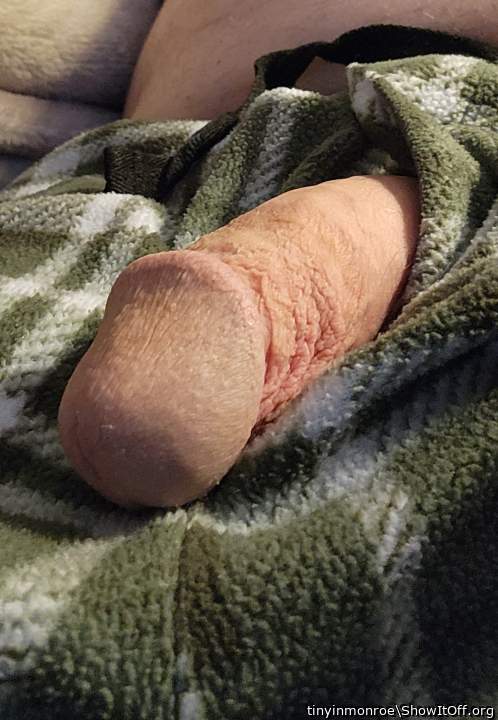 Photo of a one-eyed monster from tinyinmonroe