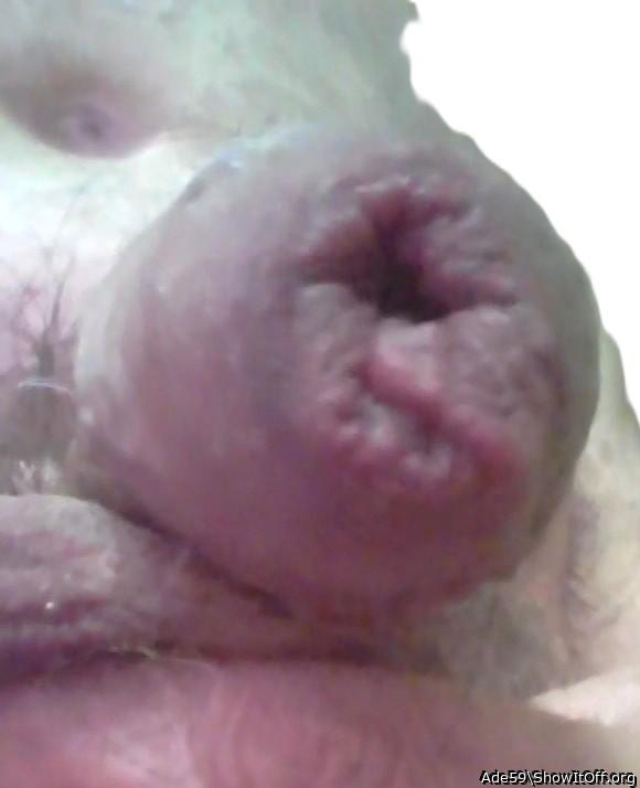 Photo of a third leg from Ade59