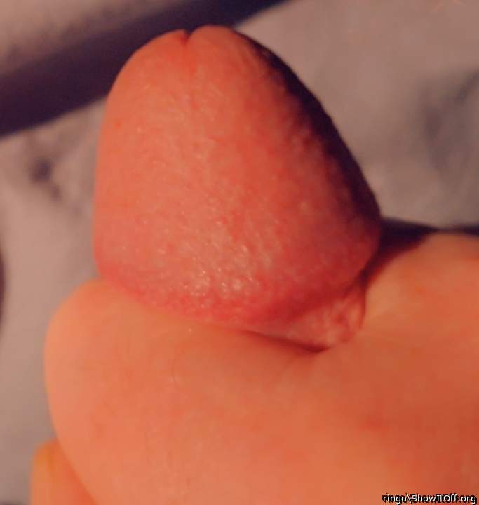 Photo of a wiener from ringo