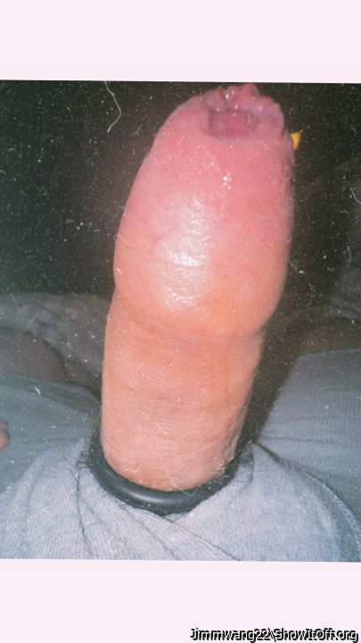 Photo of a middle leg from Jimmwang22