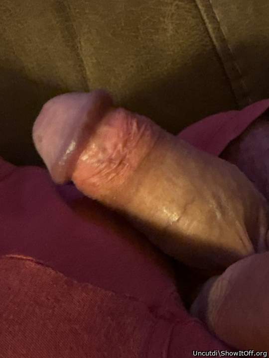 Photo of a middle leg from Uncutdi