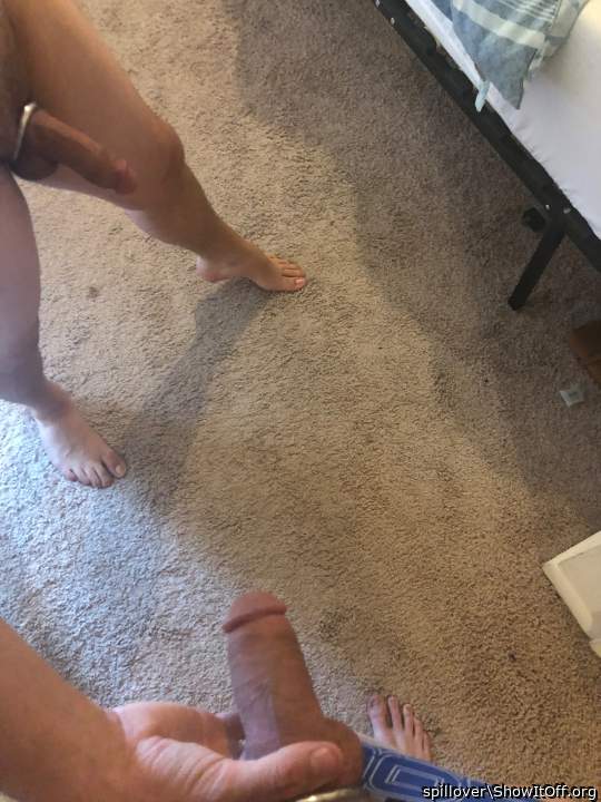 Photo of a middle leg from spillover