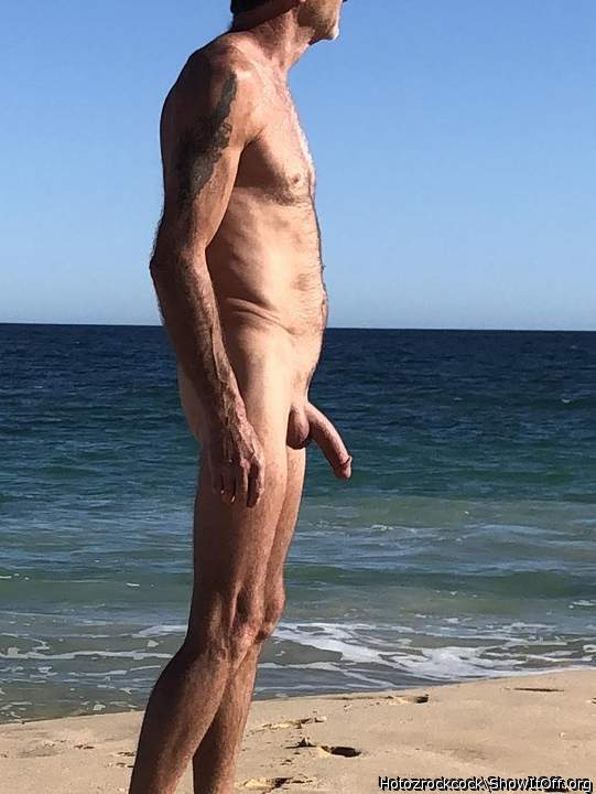 A nice big cock on the beach.  