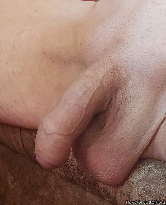 P 13015