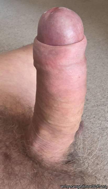 Having a sexy chat with a hot member 😉