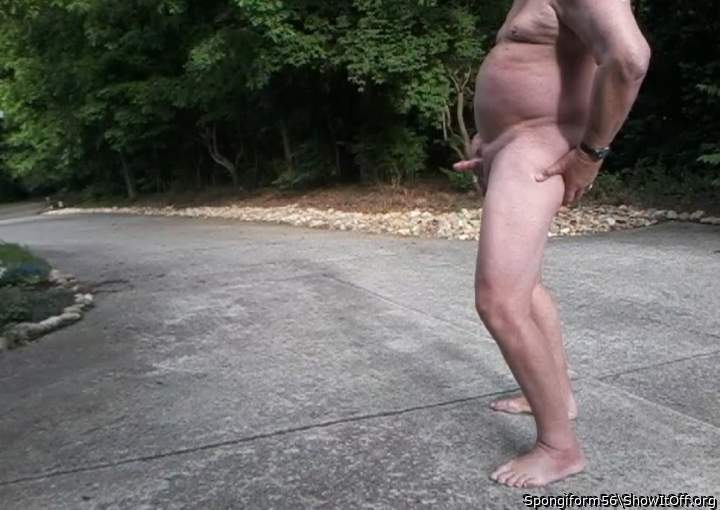 Photo of a short leg from Spongiform56