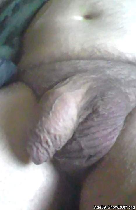 Photo of a rooster from Ade59