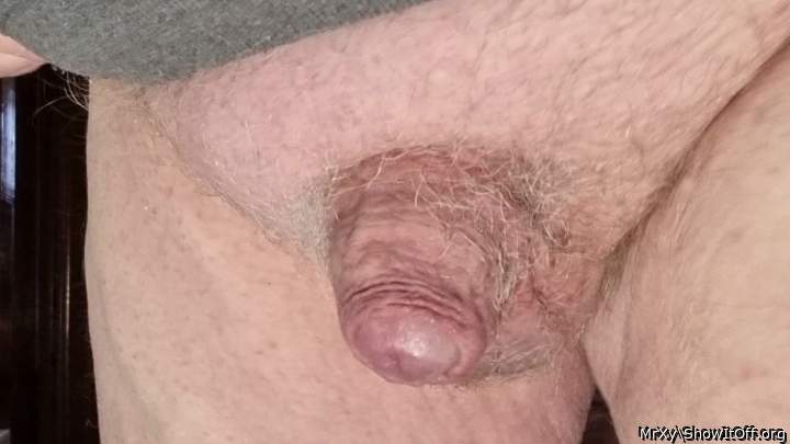 2025_My little pecker