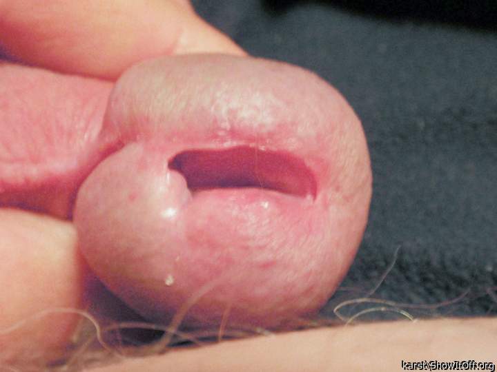 Photo of a dick from karst