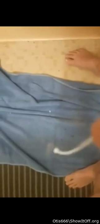 Photo of a middle leg from Otis666