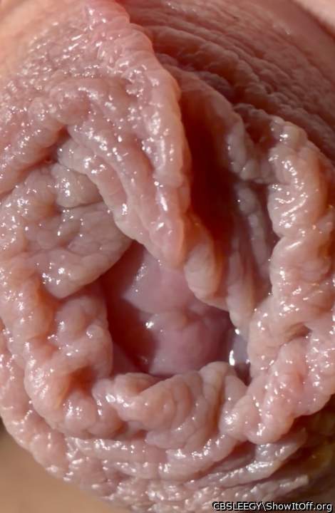 Foreskin Flower