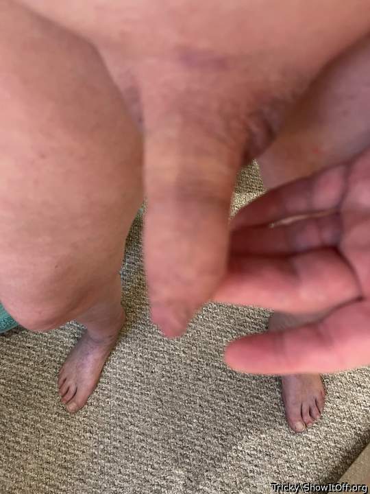 Photo of a weasel from Tricky