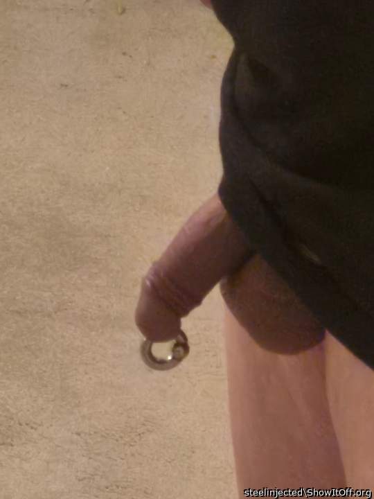 Photo of a cavalier from steelinjected