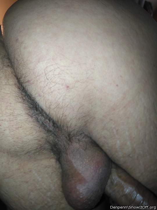 Photo of Man's Ass from Denpenn