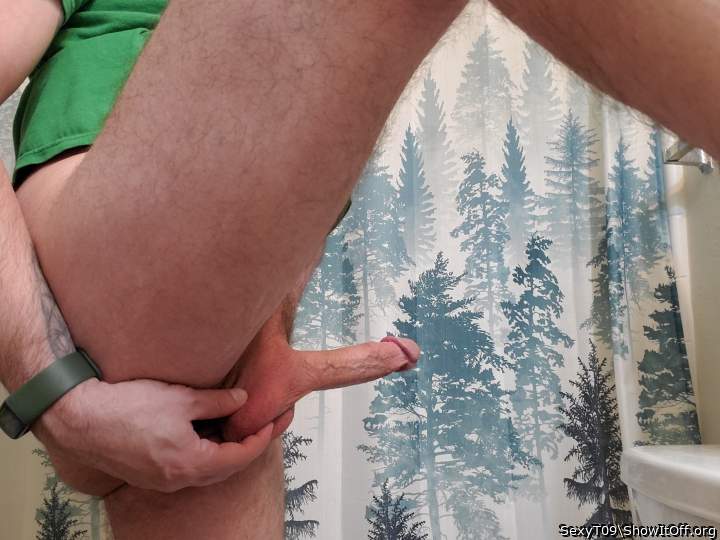 Photo of a third leg from SexyT09