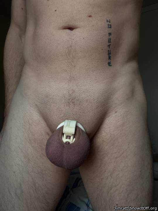 Photo of a snake from Jimratt