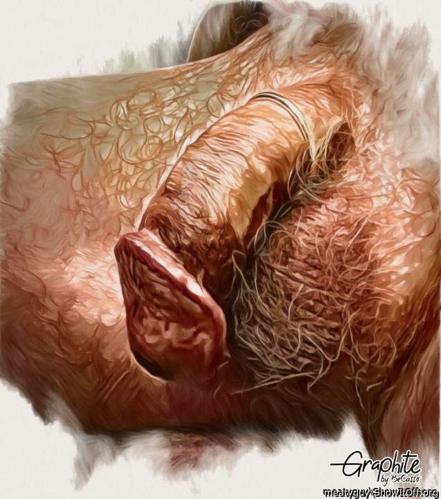 Photo of a dong from meatyguy