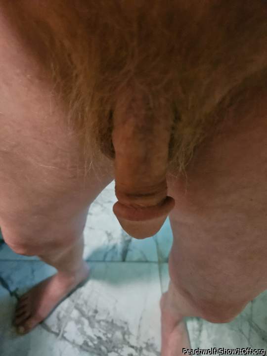 Photo of a penis from Peachwolf