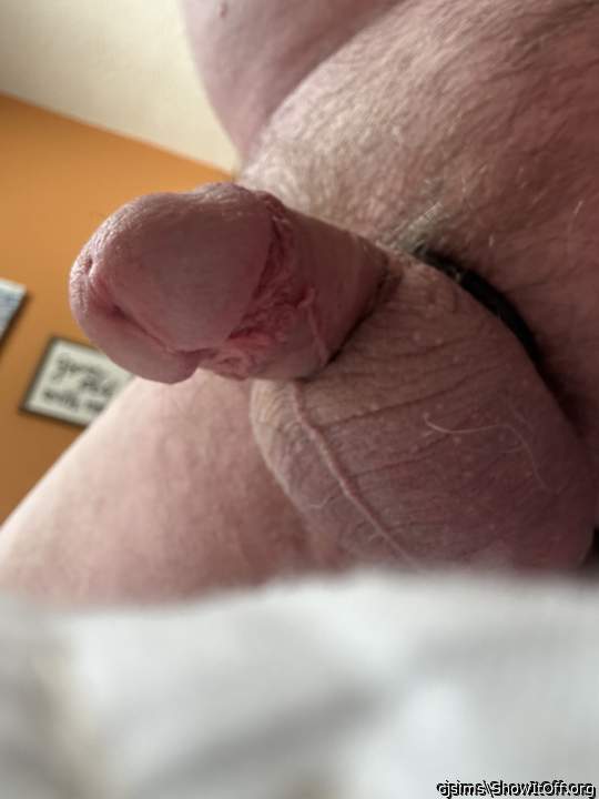 Photo of a dick from cjsims
