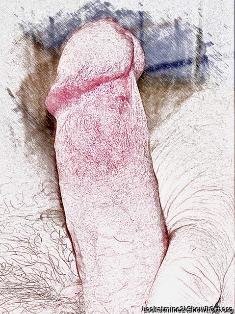 Frenulum