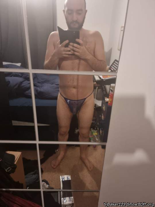 Photo of a cavalier from Sjbaker123