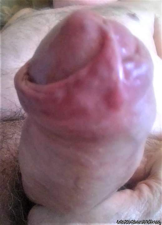 Photo of a bald-headed mouse from Ade59
