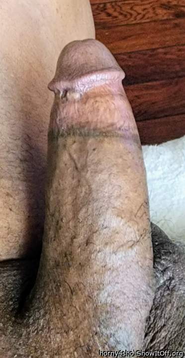 Photo of a middle leg from horny4sho