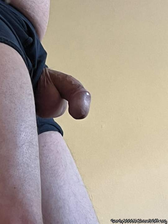 Photo of a short leg from Gordy30003