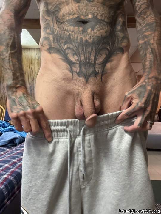 Photo of a python from Inked