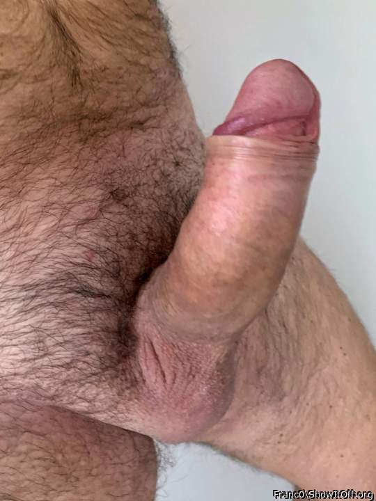 Photo of a middle leg from Franc0