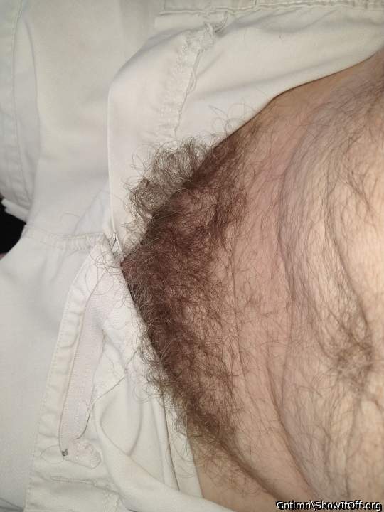 bush