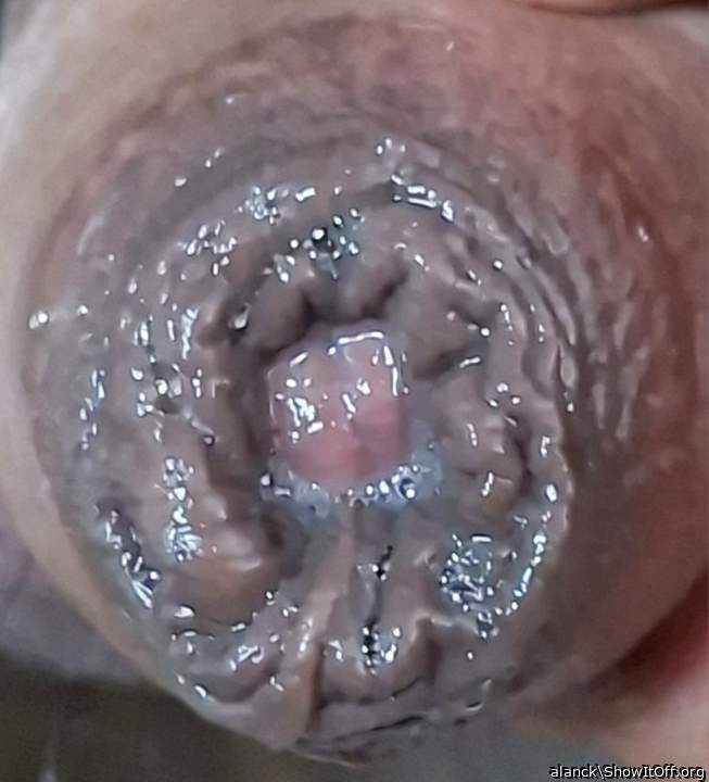 Photo of a pocket rocket from alanck