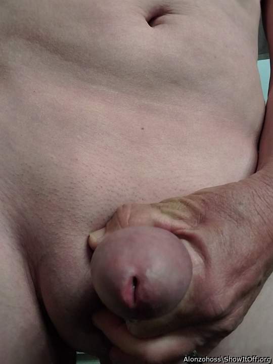 Photo of a stiffie from Alonzohoss