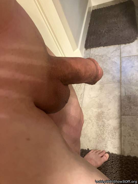 my cock