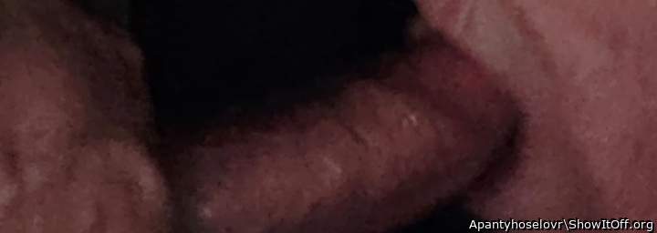 Photo of a third leg from 1dik2dik3dik4