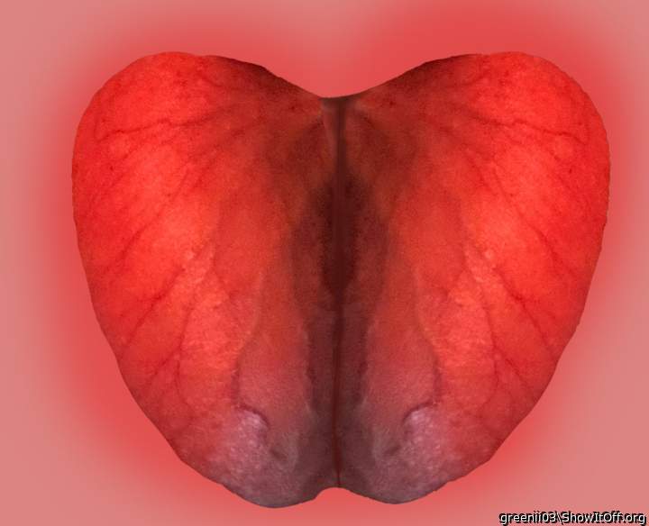 what do you think? open for interpretation!