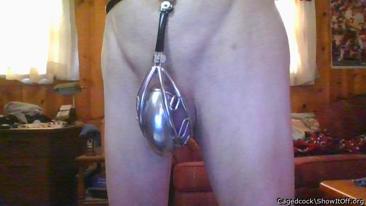 My full chastity belt.
