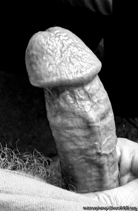 Photo of a rooster from misterplump