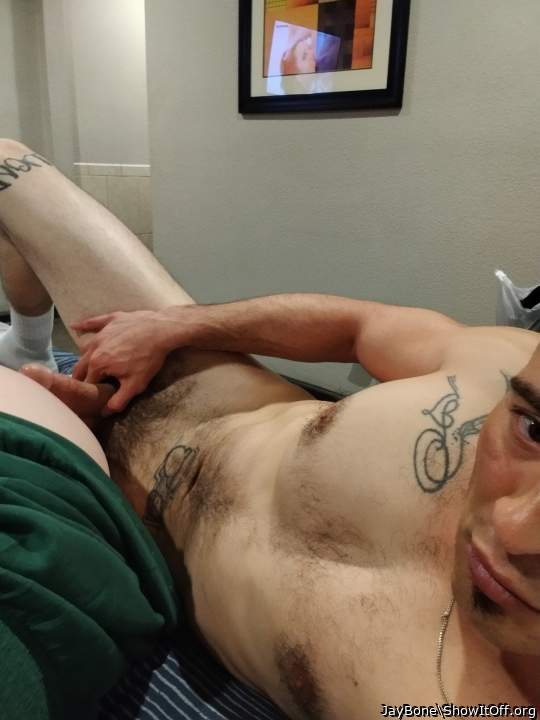 Photo of a lizard from JayBone