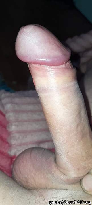 my hard and shaved dick)