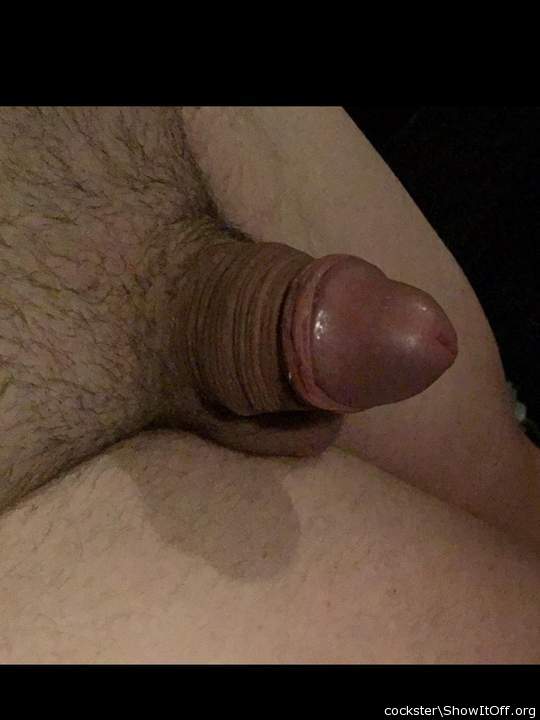 beautiful little penis 