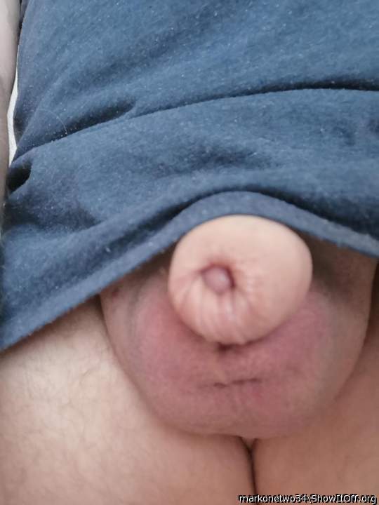 Photo of a penis from markonetwo34