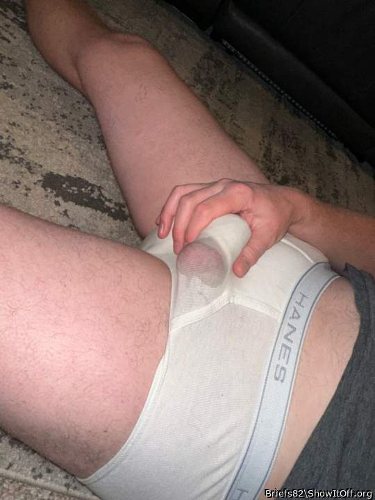 Photo of a cavalier from Briefs82