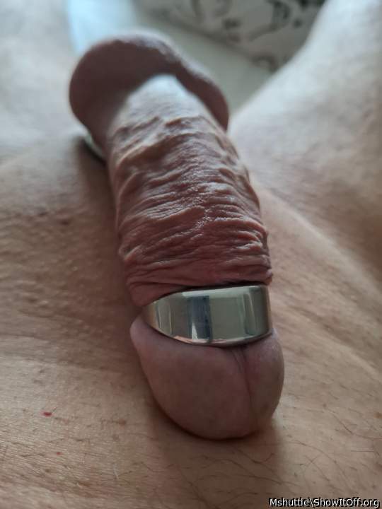 Photo of a rooster from Mshuttle