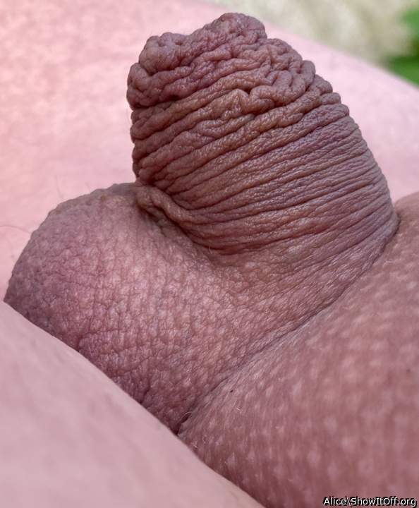 Close up of tiny clit/ dicklet